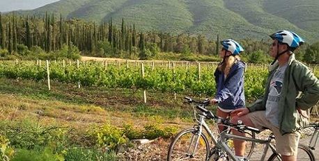 Konavle Biking & Wine Tasting