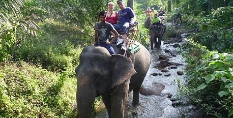 Elephant Trekking & Bathing at Phang Nga