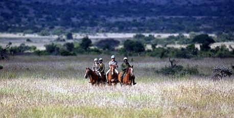 Horse Riding